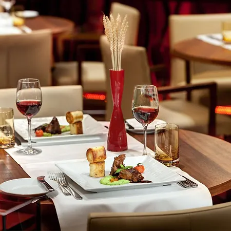 Hotel Hilton Frankfurt Airport Frankfurt am Main