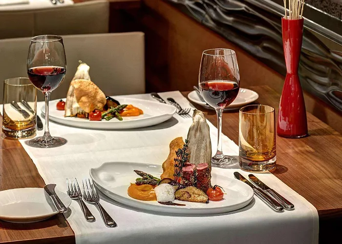 希尔顿法兰克福机场酒店 美因河畔法兰克福