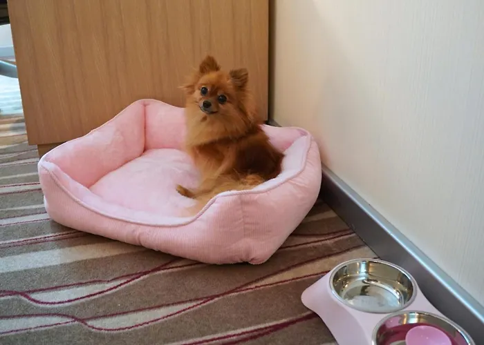 호텔 힐튼 에어포트 4*